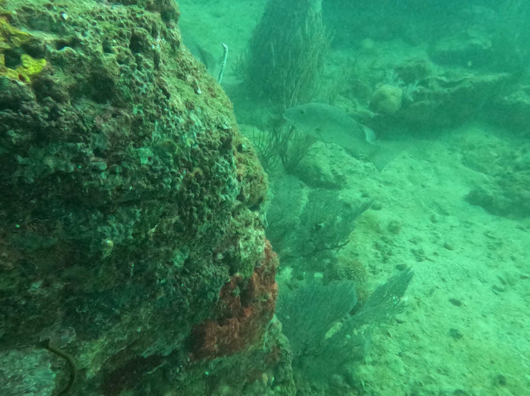 Turquoise Dream | PADI Dive Centre-Neil Island必去景点