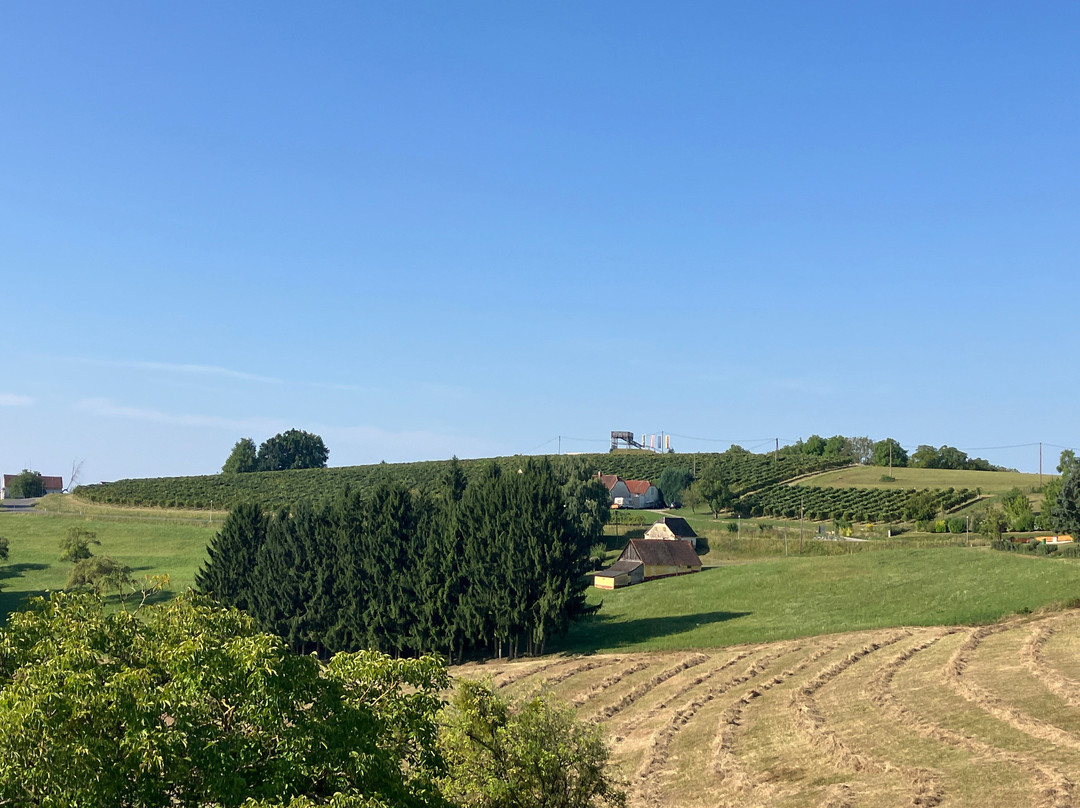 Golf & Therme Sonnenpension Hotel Garni - Burgauberg主图