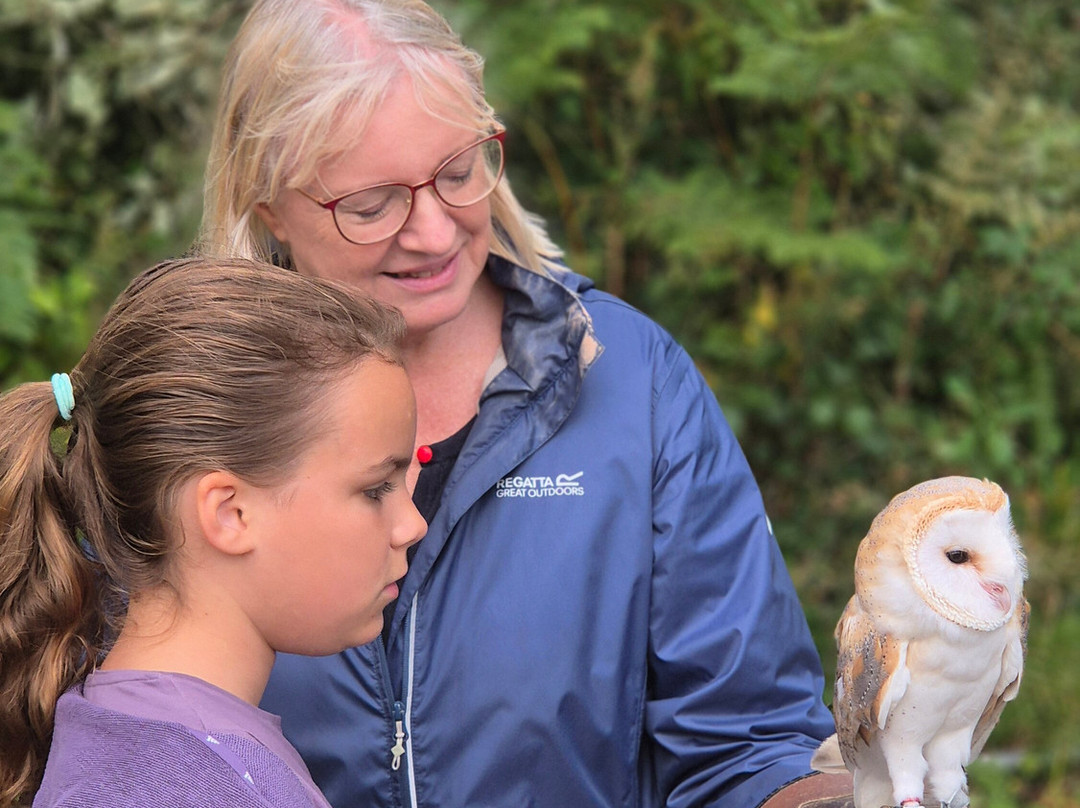 North Devon Hawk Walks-South Molton必去景点