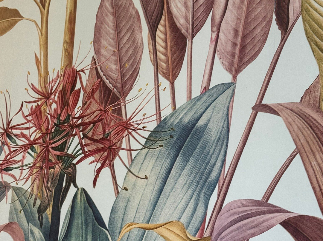 Hotel des Rochers主图