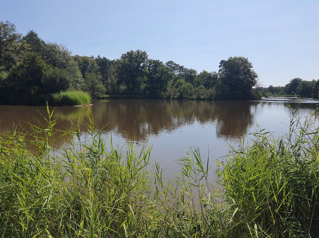 Domaine National de Chambord-香波堡必去景点