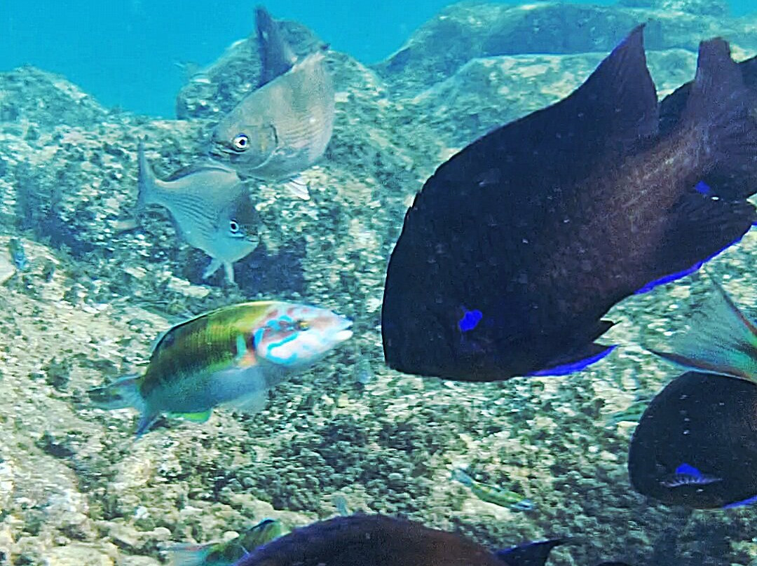 Playa De Montaña Roja-布兰卡滩必去景点