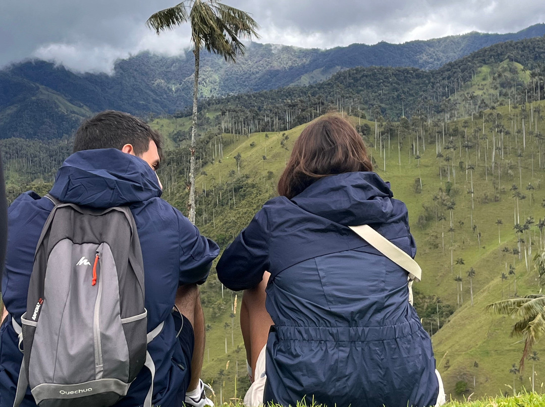 5to Elemento Tours-Boquia必去景点