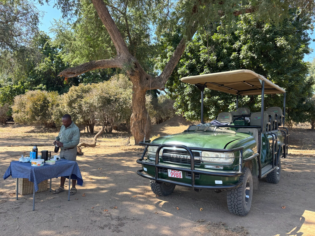 Jekwe Tours & Safaris-卡里巴必去景点
