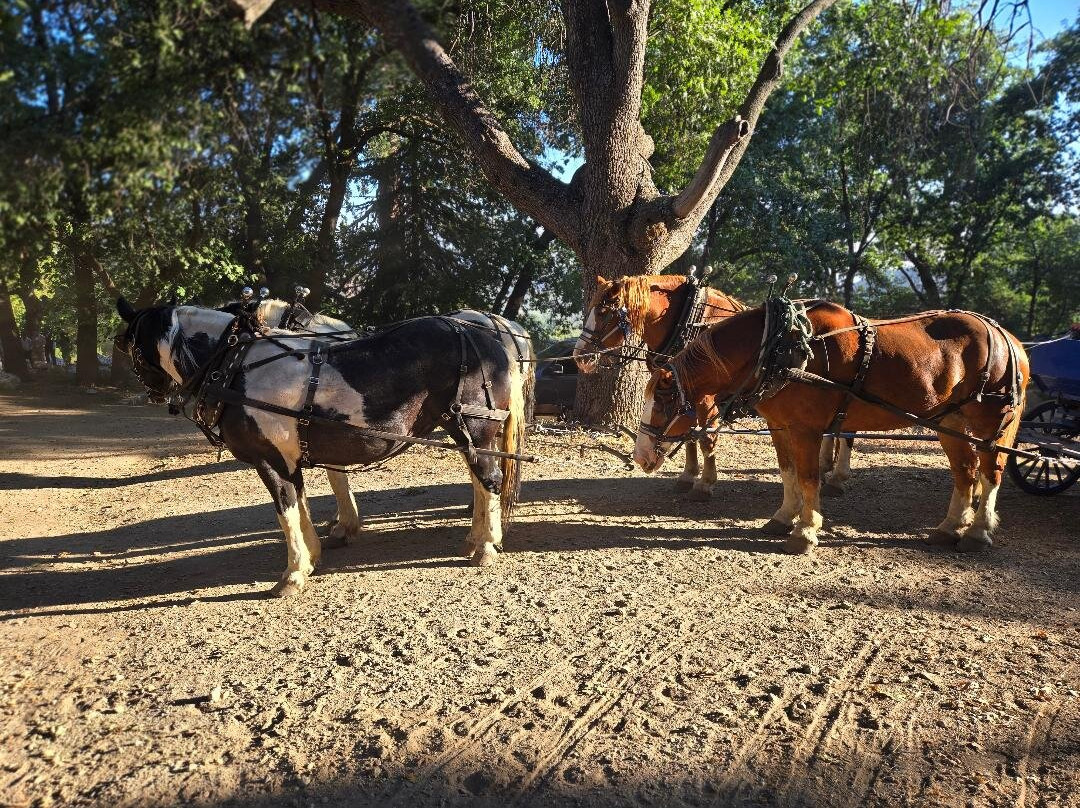 Rileys at Los Rios Rancho-Oak Glen必去景点