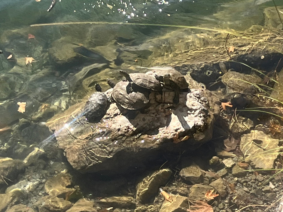 Safari Experts Crete-马利亚必去景点