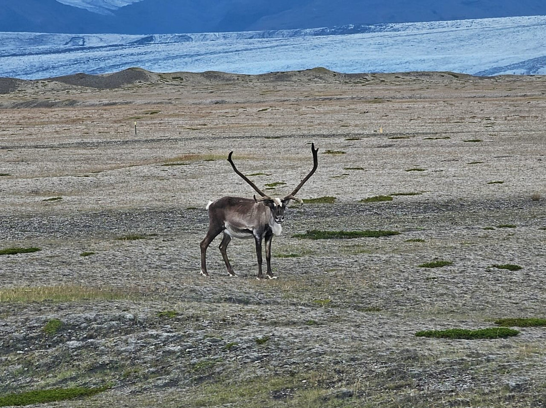 Traveo-雷克雅未克必去景点