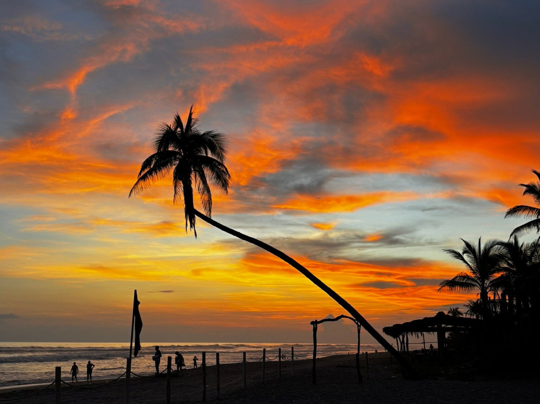 Mishol Weddings & Events Hotel & Beach Club主图