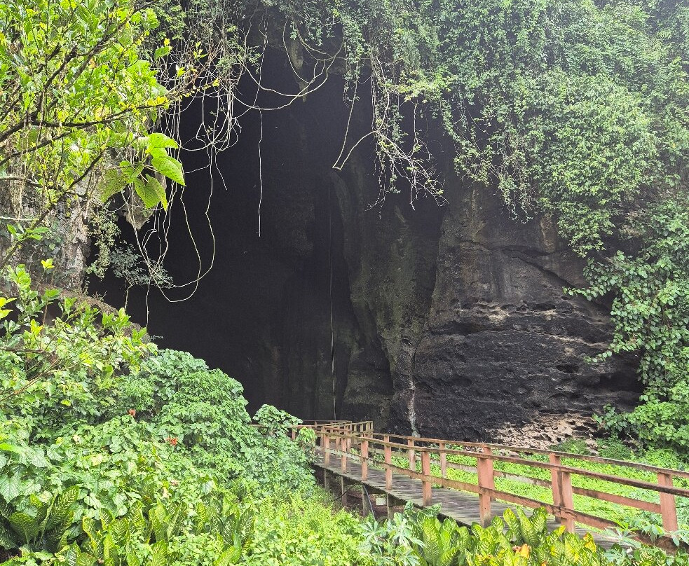 Gomantong Cave Sandakan-山打根必去景点