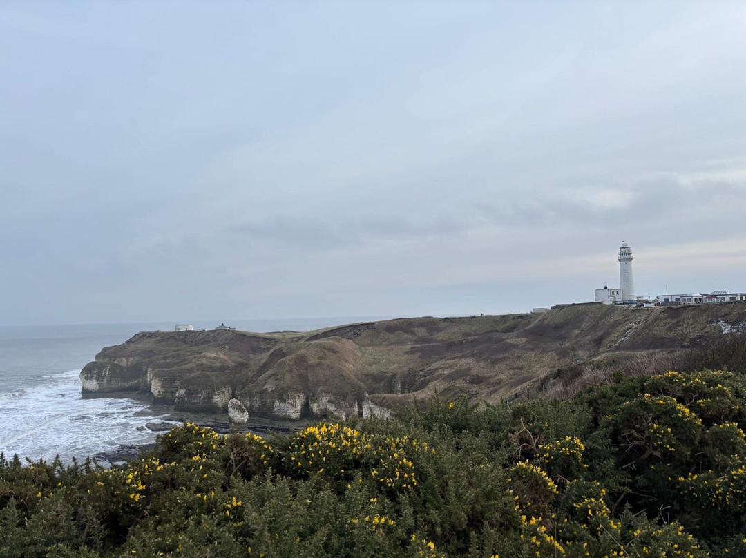 Rspb Bempton Cliffs-Bempton必去景点