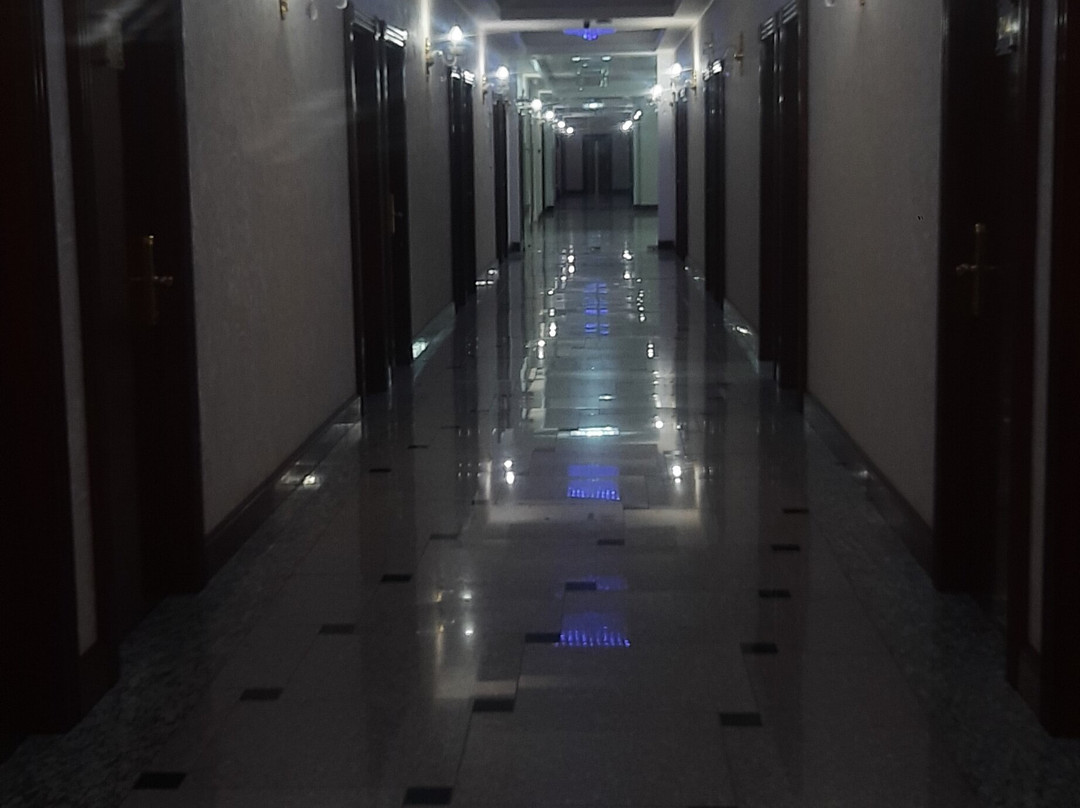 Artis Plaza Hotel主图