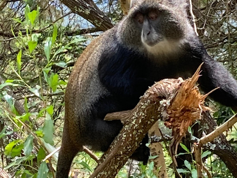 Rashad Adventure-阿鲁沙必去景点