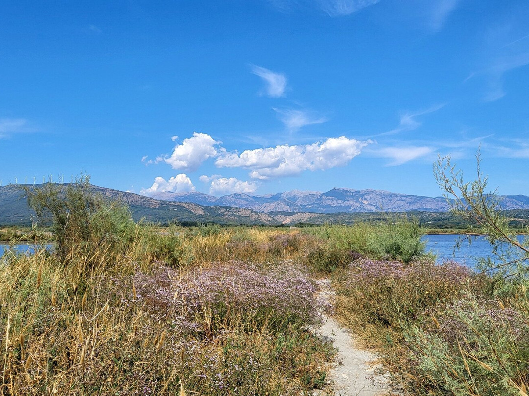 Ulcinj Salina-Ulcinj Municipality必去景点