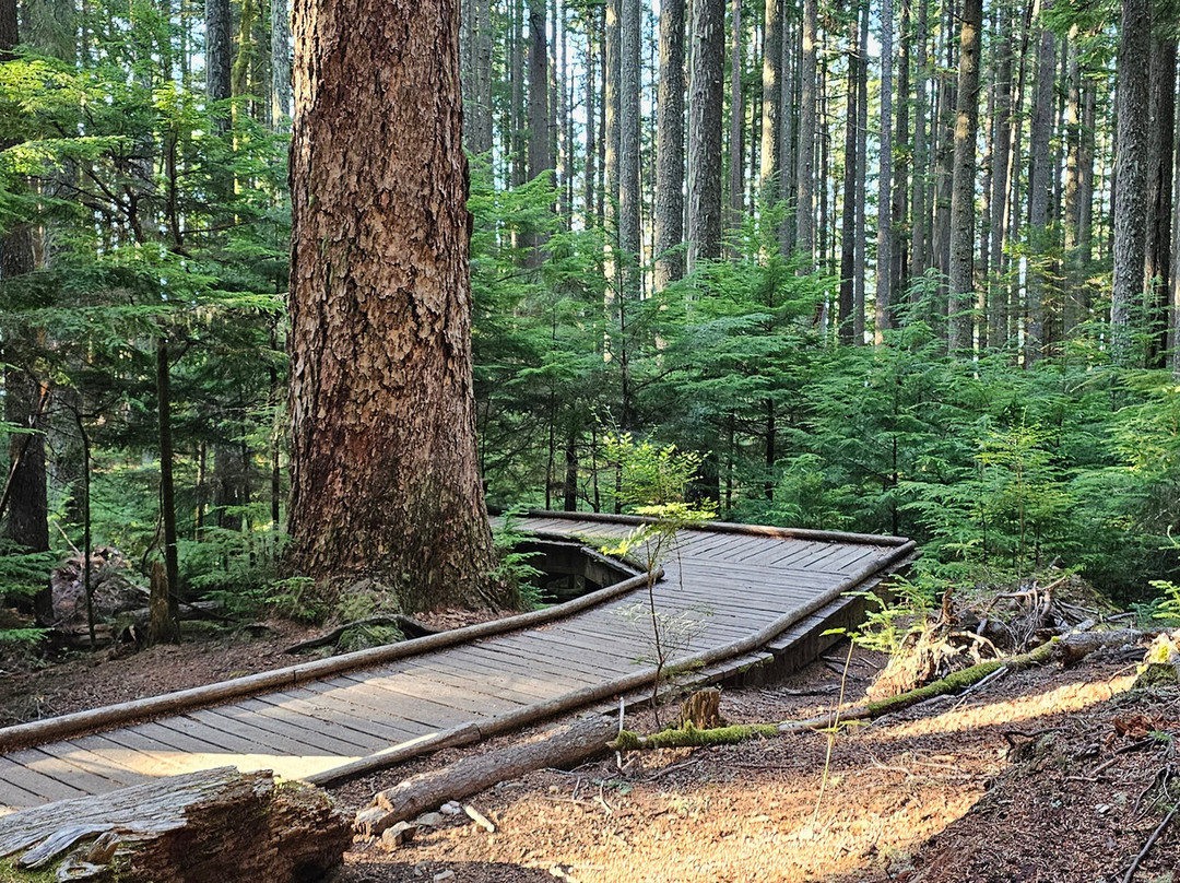 Mt Si-North Bend必去景点