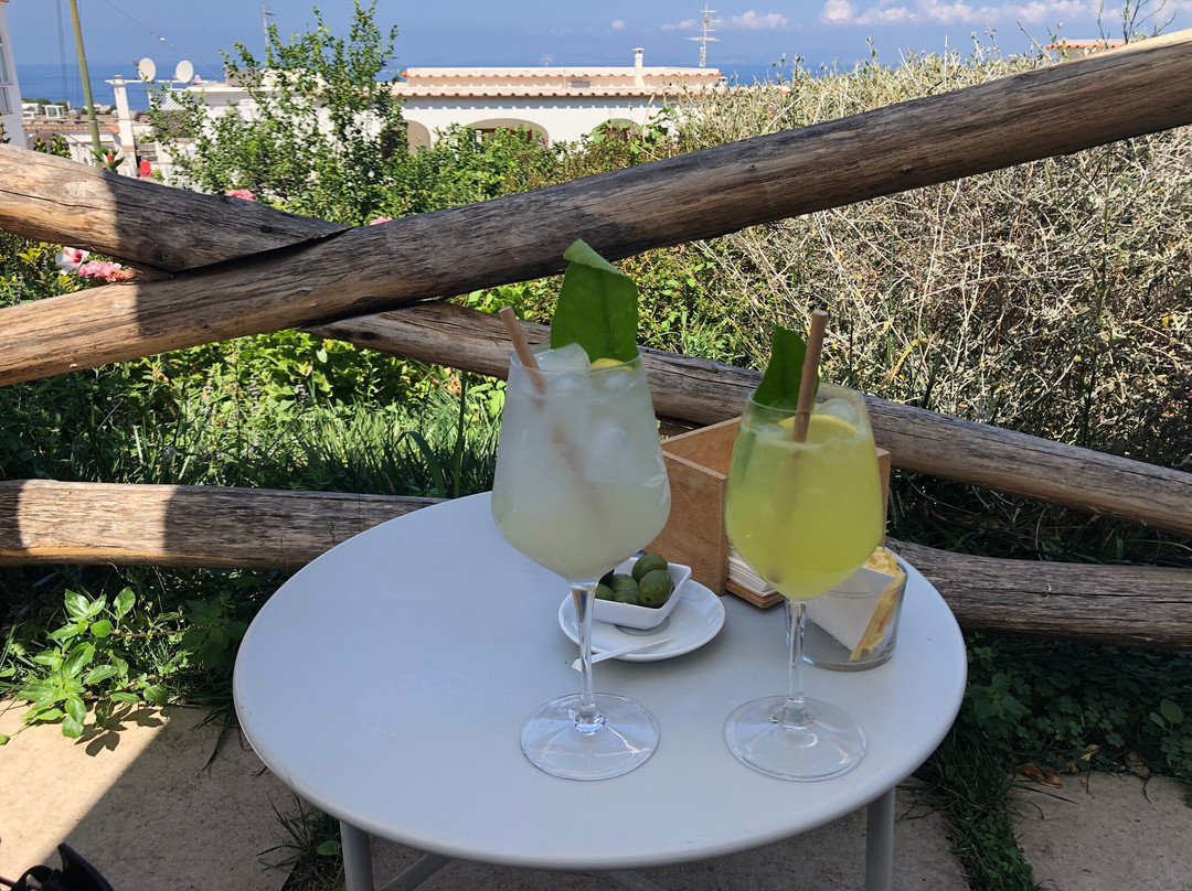Giardino Mediterraneo Capri