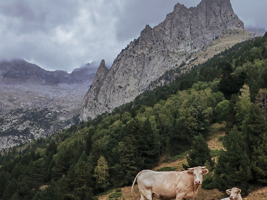 Awana-阿利坎特省必去景点