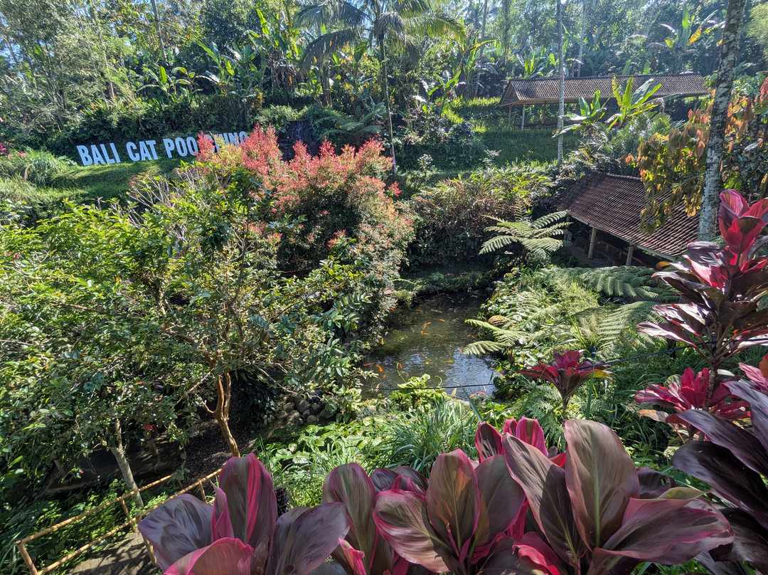 Bali Fun Bike Adventure-Pejeng Kaja必去景点