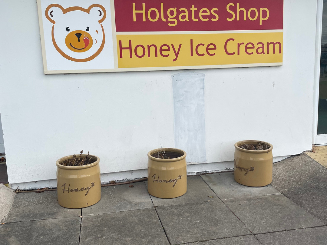 Holgates Ice Cream Shop & Cafe-Tywyn必去景点