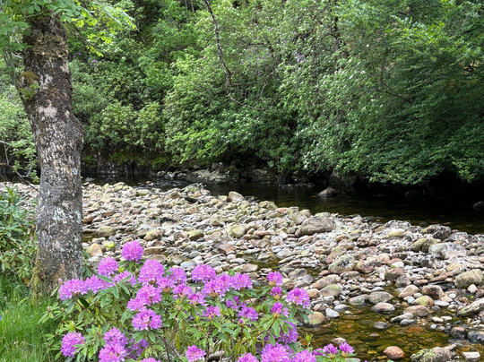 Macaulay Luxury Travel-因弗内斯必去景点