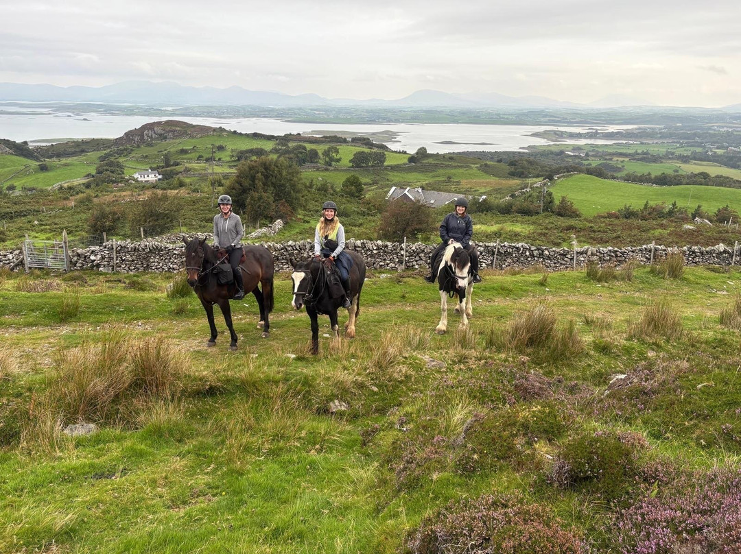 Drummindoo Stud-韦斯特波特必去景点