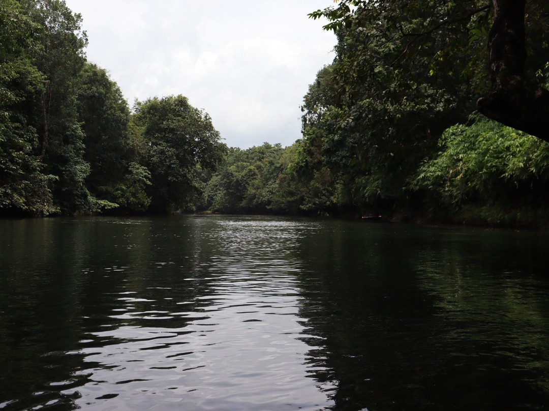 Konni Adavi Eco-Tourism-Konni必去景点