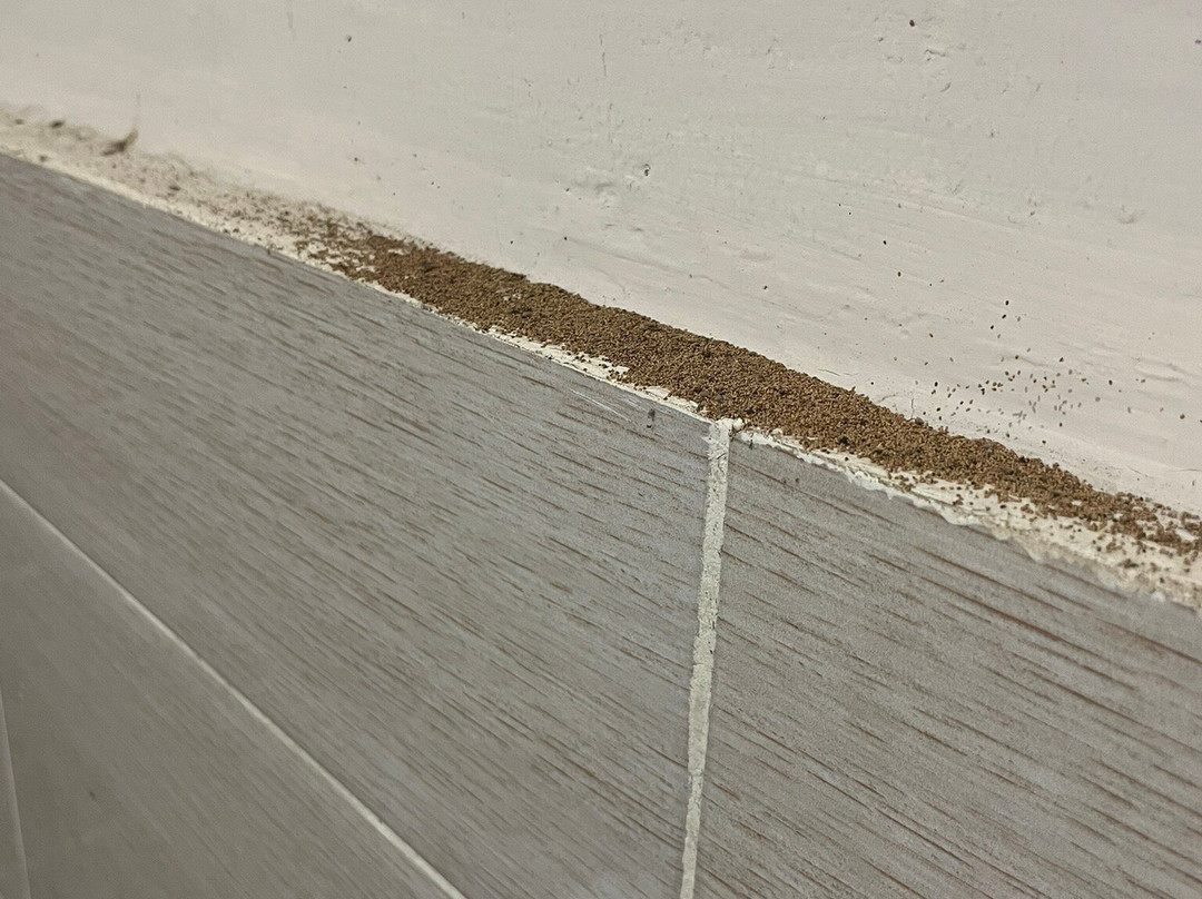 Kuta Lodge Homestay主图