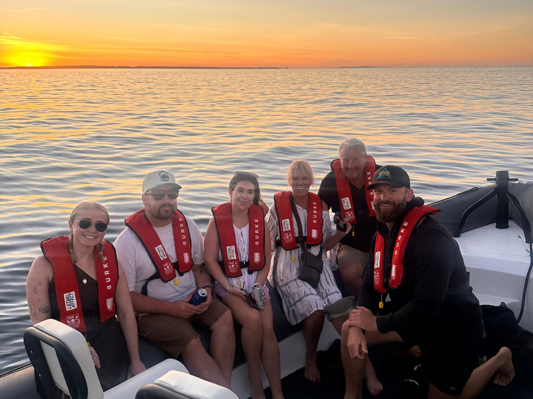 Lethal Adventures-Dampier必去景点