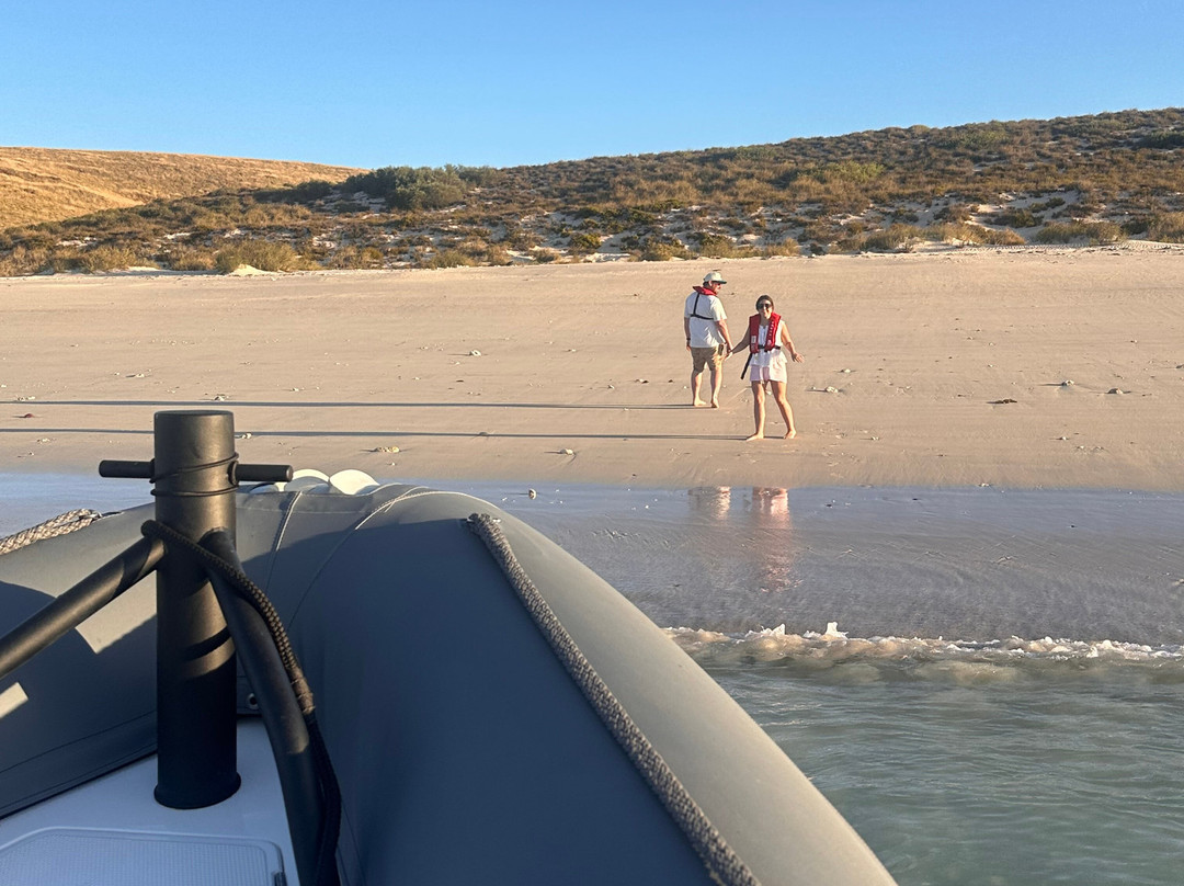 Lethal Adventures-Dampier必去景点