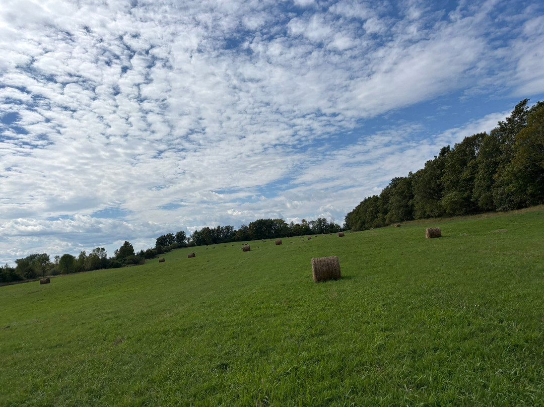 Breakaway Farm-Grand Isle必去景点