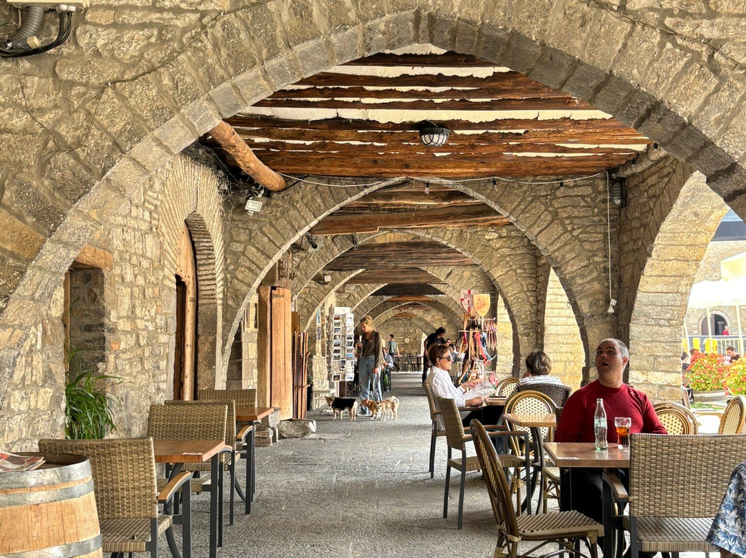 Plaza Mayor-艾因萨必去景点