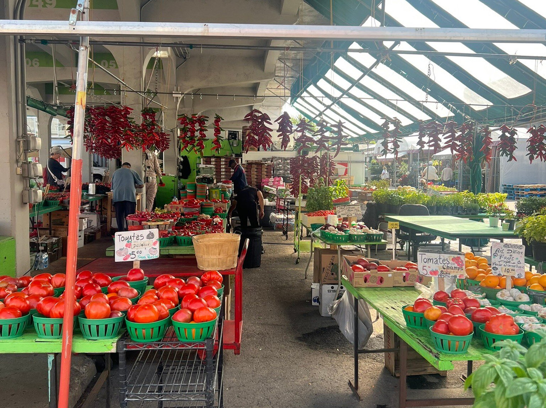 Native Tours-蒙特利尔必去景点