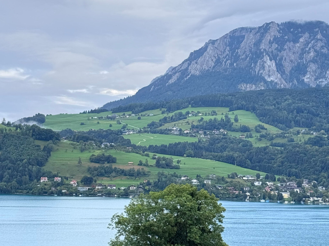 Gasthof Steinerwirt主图