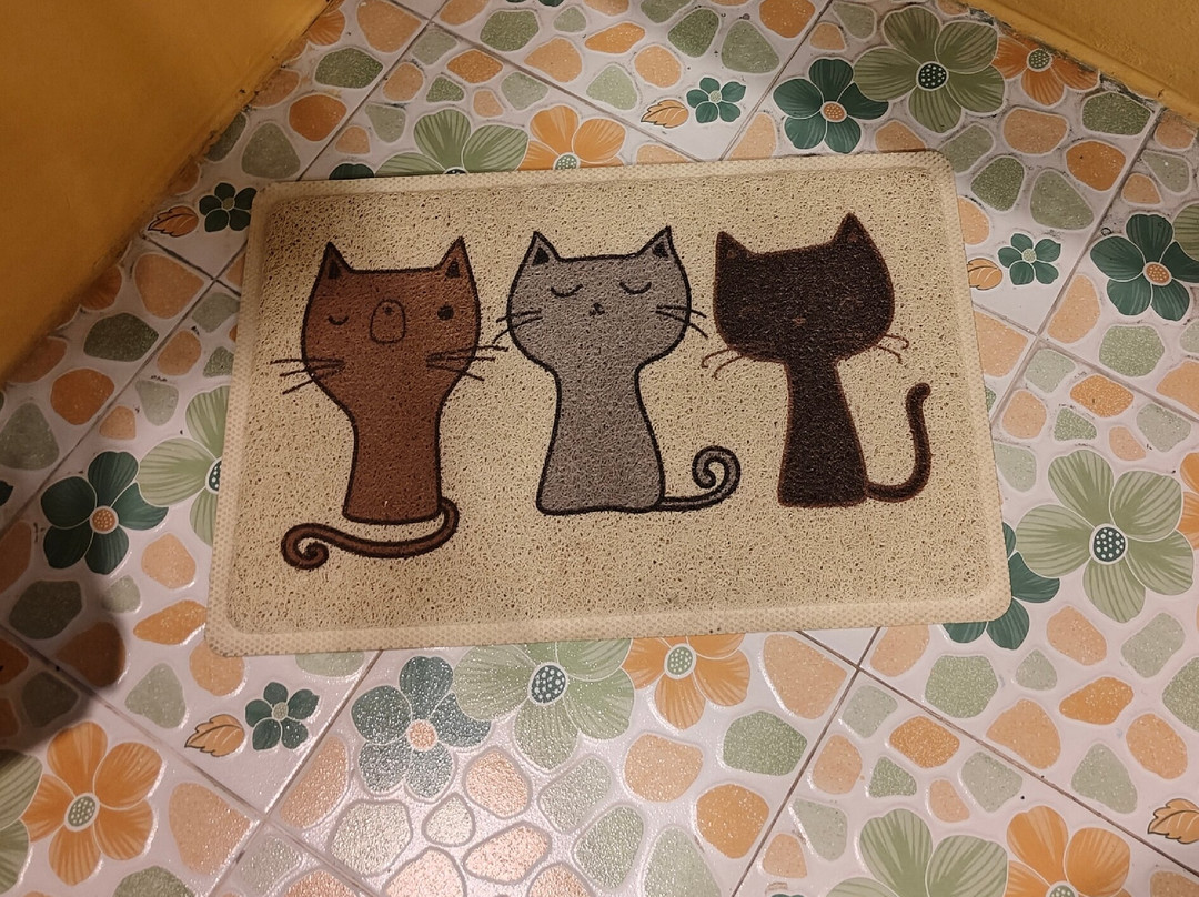 Q Zone Boutique House主图