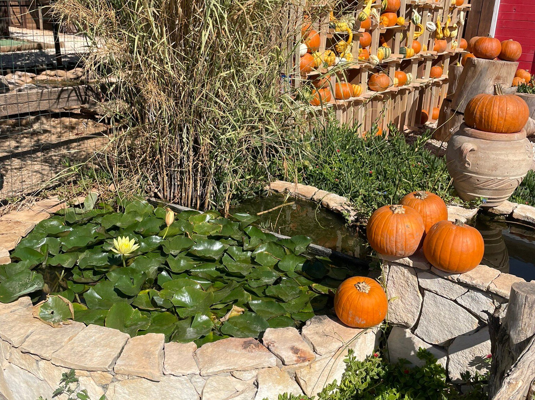 Fattoria Bassa Corte-Ribera必去景点