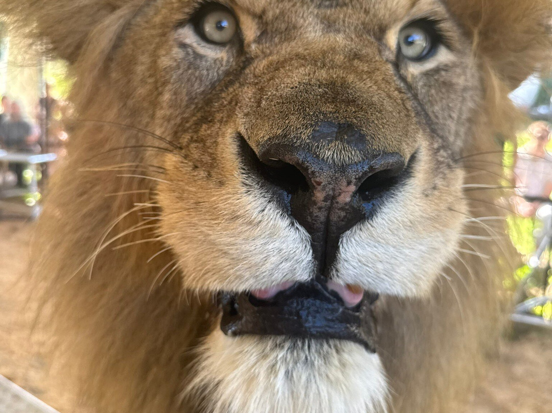 Krone Farm-Wessling必去景点