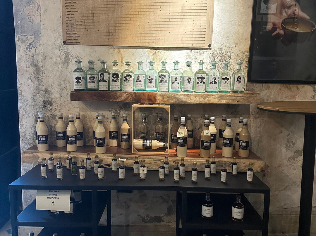 Xoul Art & Mezcal-巴利亚多利德必去景点