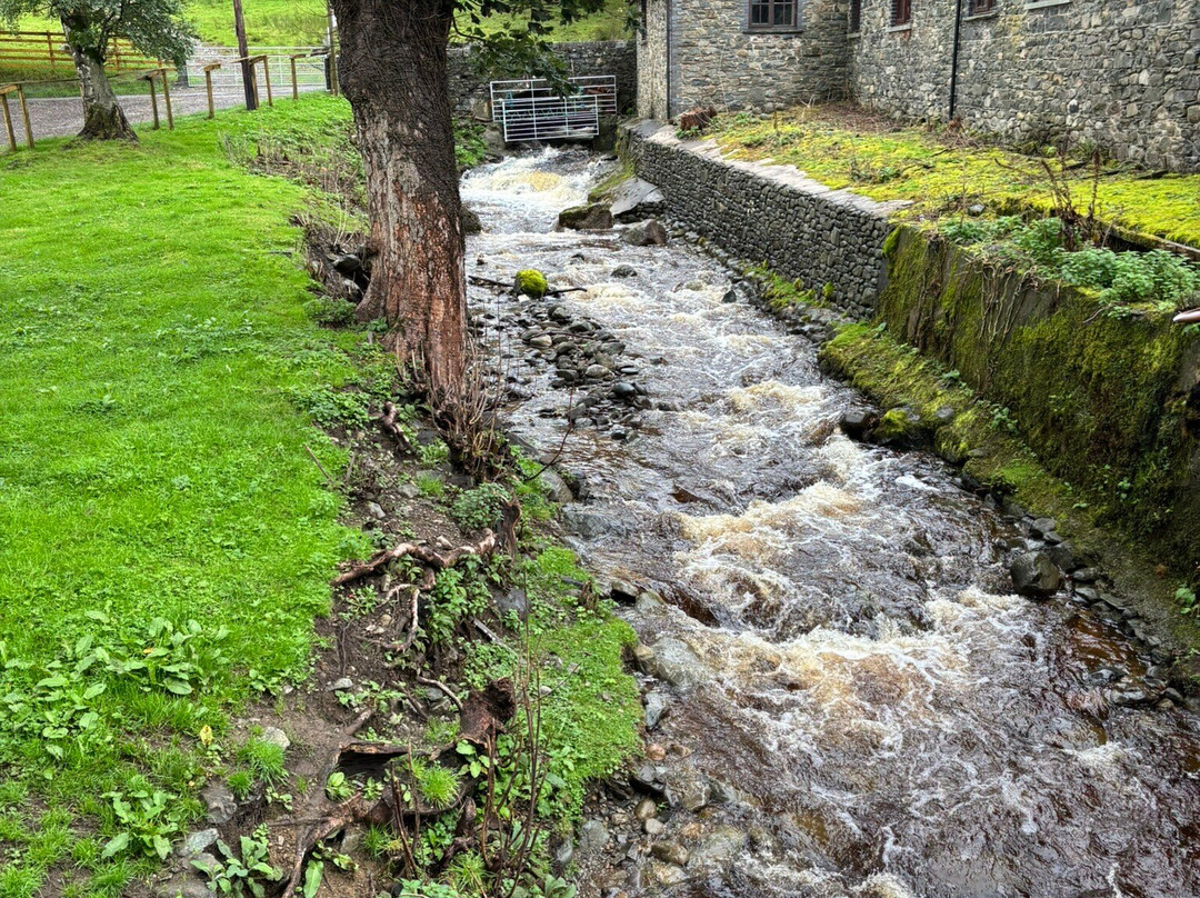 Springs Farm Guesthouse主图