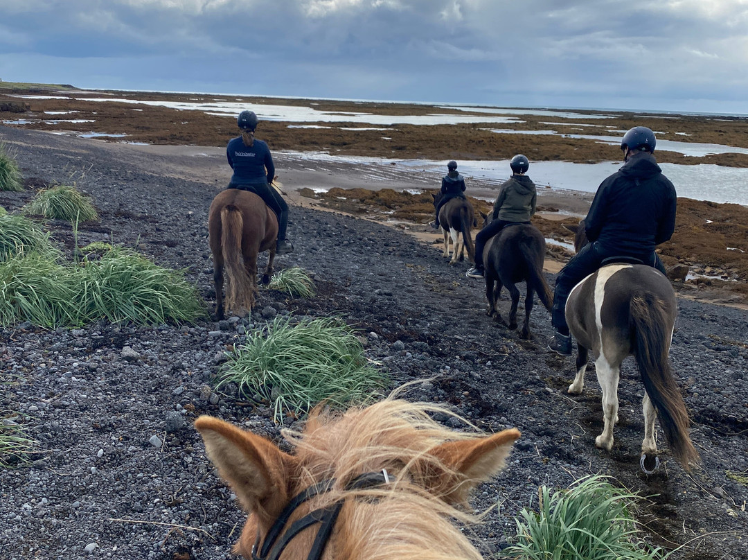 Bakkahestar-Eyrarbakki必去景点