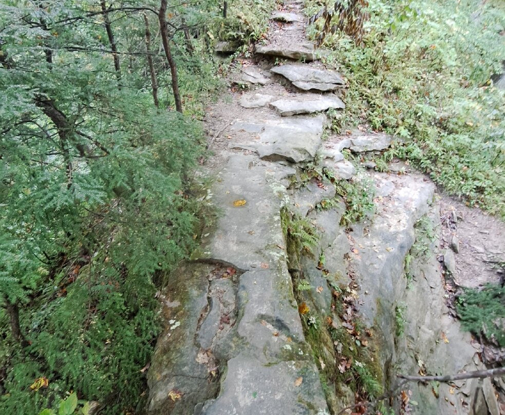 Shades State Park-Waveland必去景点