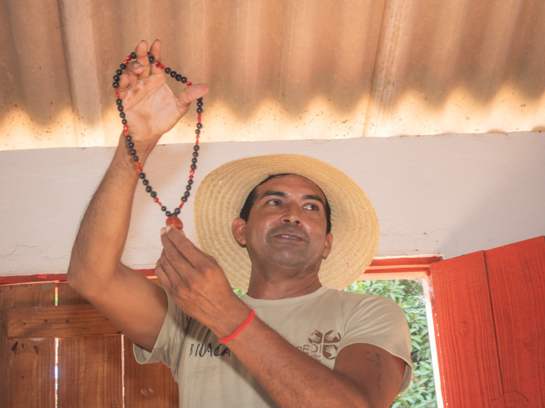 Pantanal Click-米兰达必去景点