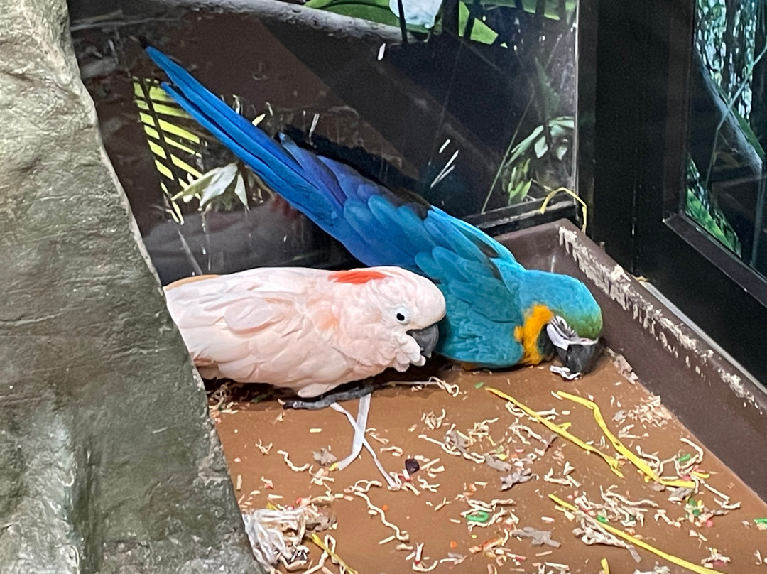 Jenkinson's Aquarium-波因特普莱森海滩必去景点