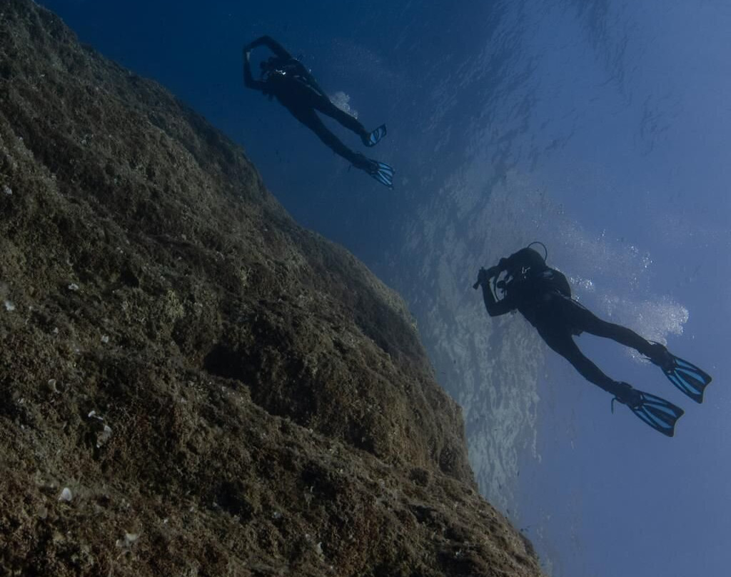 Zante Diving - Dive Center-扎金索斯州必去景点