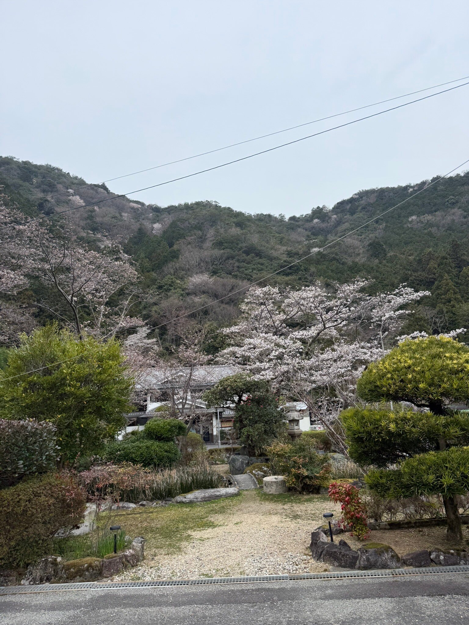 Okumizuma Onsen-官方