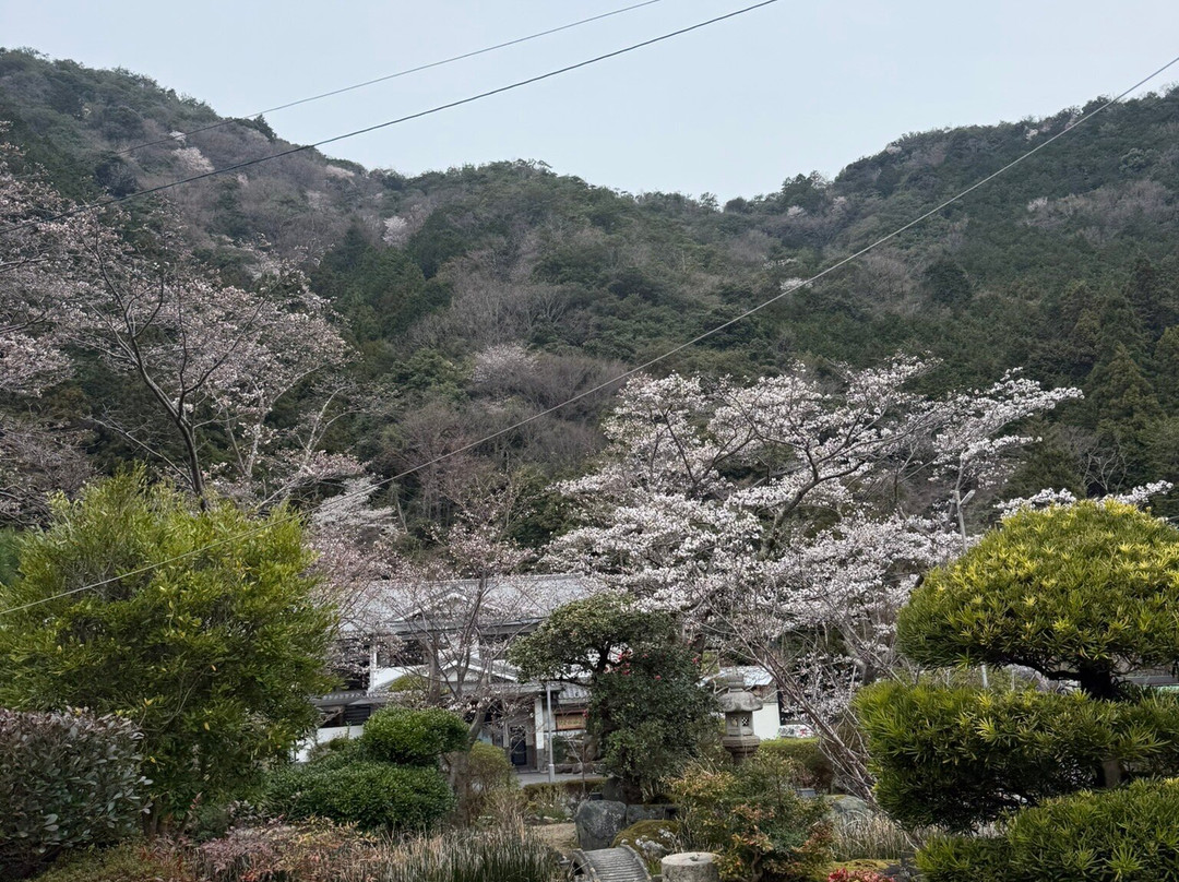 Okumizuma Onsen主图