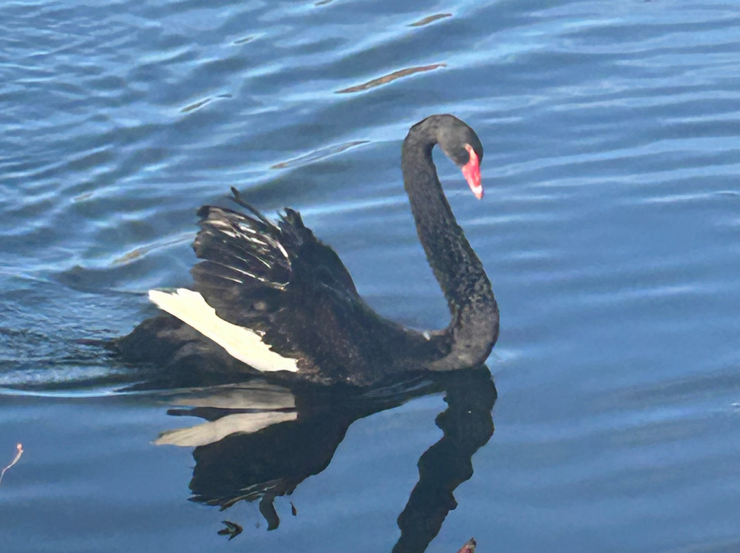 Putting Horse Ranch-斯普鲁斯格罗夫市必去景点