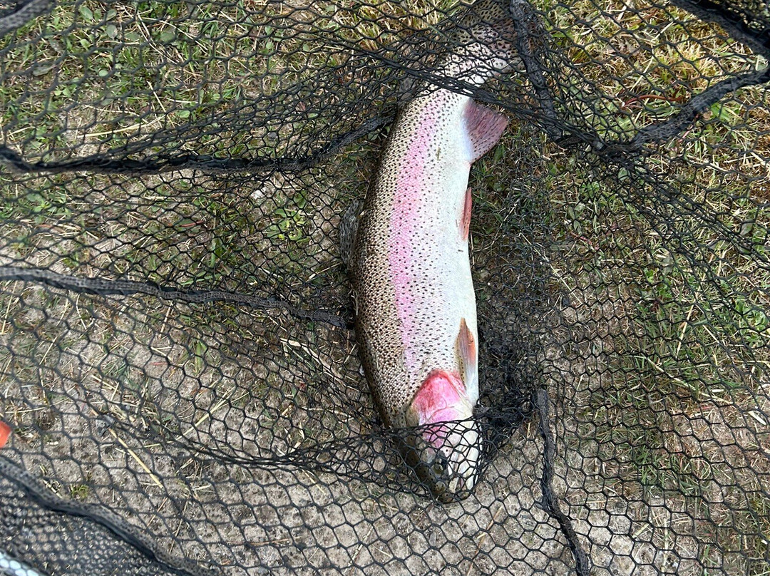 Birchwood Fishery-Drumquin必去景点