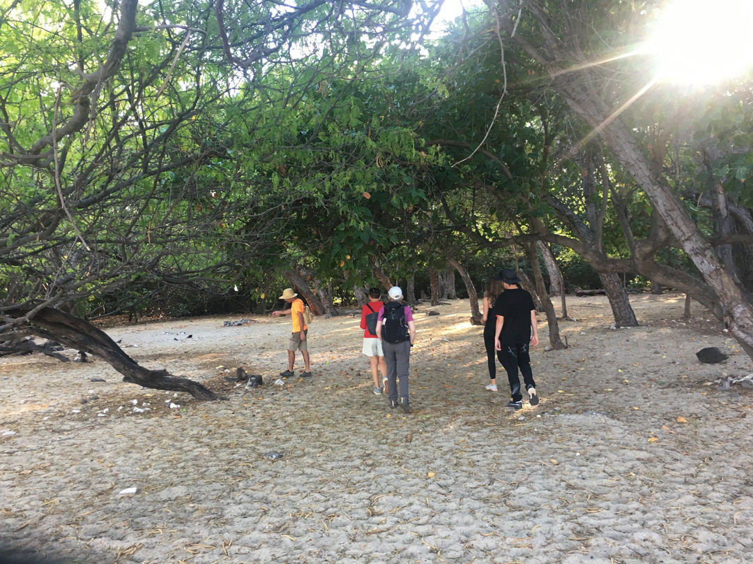 Office de Tourisme de L'ouest de la Reunion-圣吉尔莱班必去景点