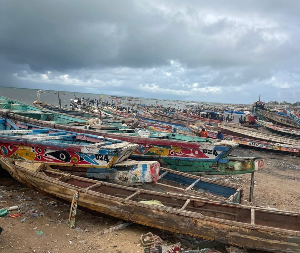 EXCURSIONS FROM HOTEL RIU BAOBAB-Ponto必去景点