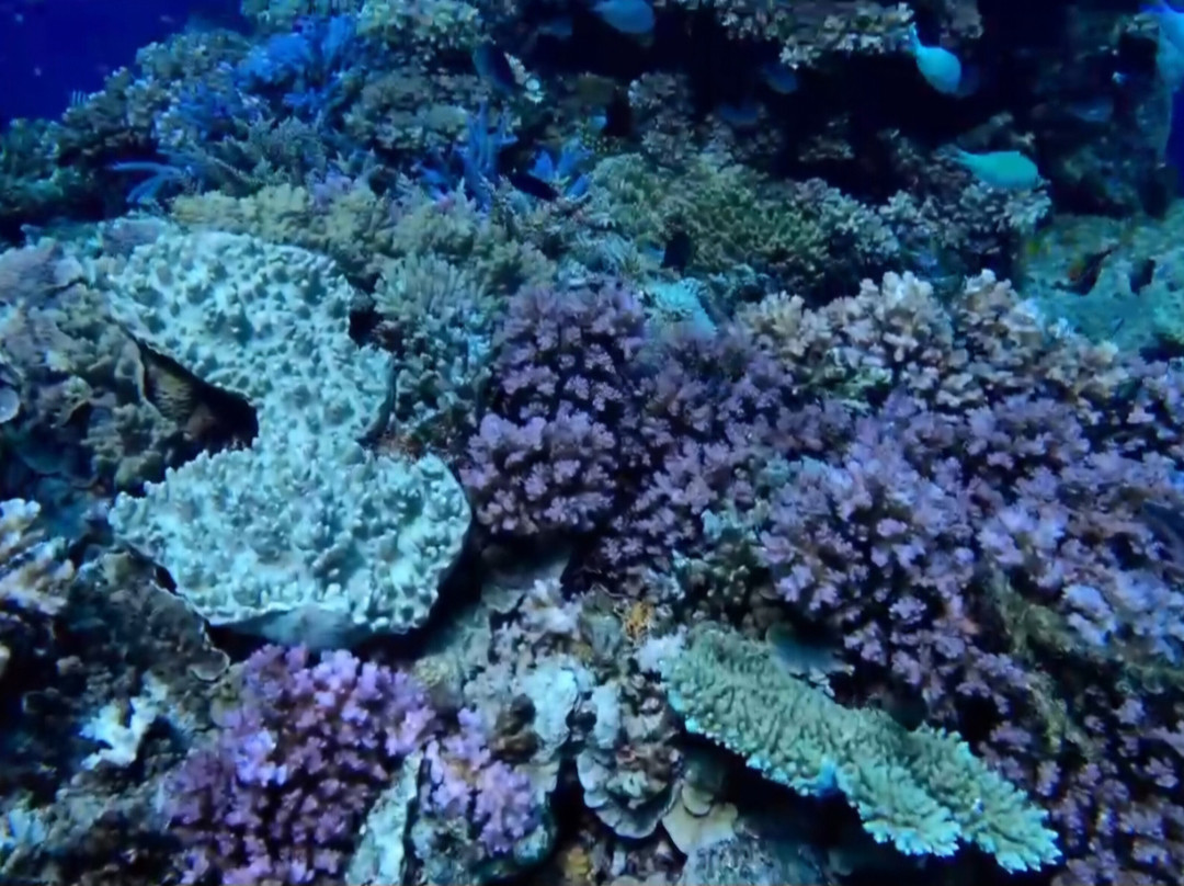 Golden Point Resort主图