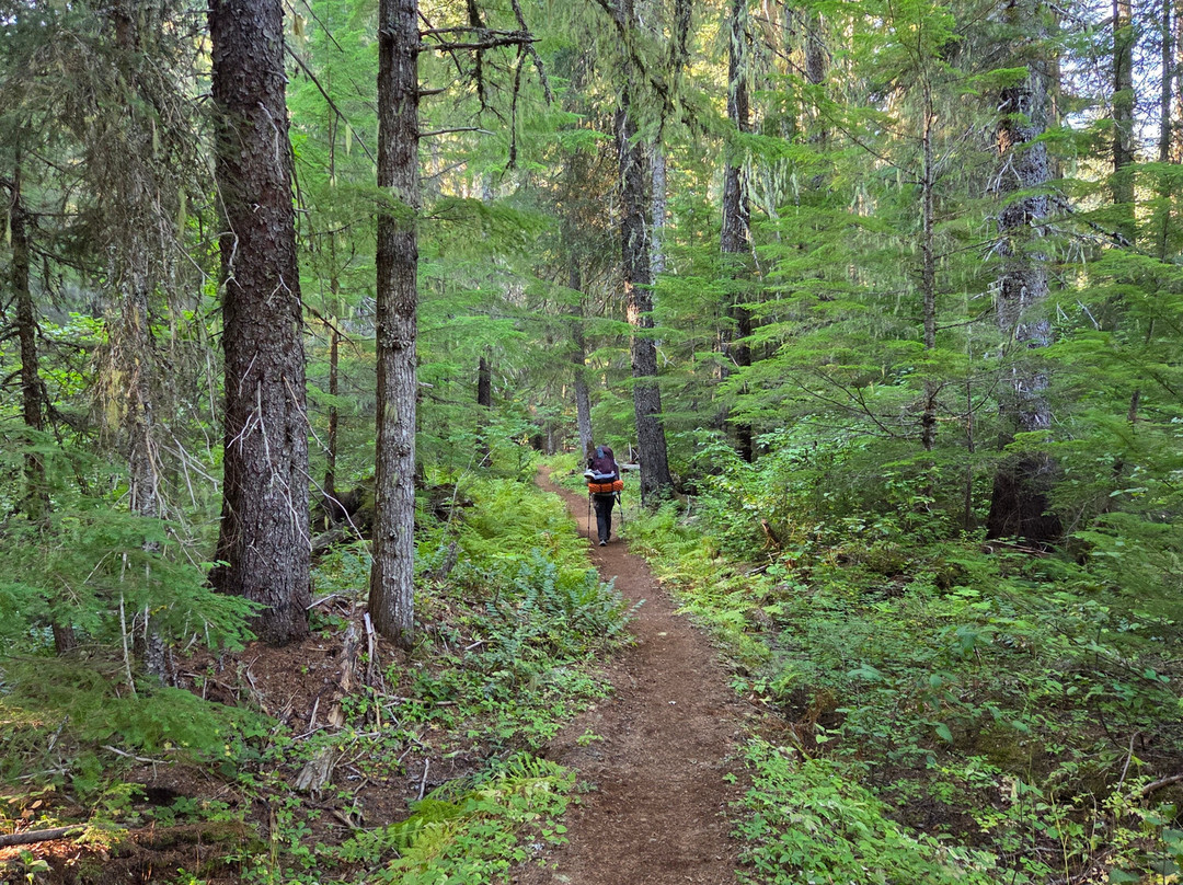 Rare Earth Adventures-波特兰必去景点